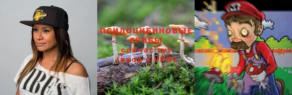 ГАЛЛЮЦИНОГЕННЫЕ ГРИБЫ Балабаново