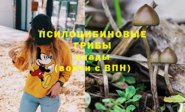 экстази Баксан