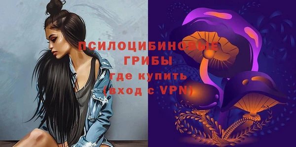 a pvp Каменск-Шахтинский