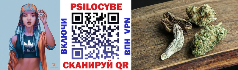 хочу наркоту Венёв Псилоцибиновые грибы Psilocybine cubensis